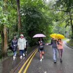 International Student Society members walking with umbrellas on a lush green road in Belfast during a rainy day.